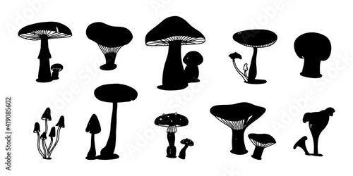 Silhouette Set of Mushroom. Various Mushrooms hand drawn shape. Champignon, chanterelle and shiitake. 
