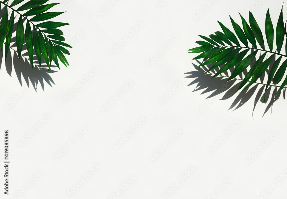 Fototapeta premium Empty scene product. Green tropical leaf shadow on white background. Minimal summer concept.