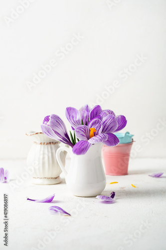 Fototapeta Naklejka Na Ścianę i Meble -  Spring flowers in white jug, crocus flowers