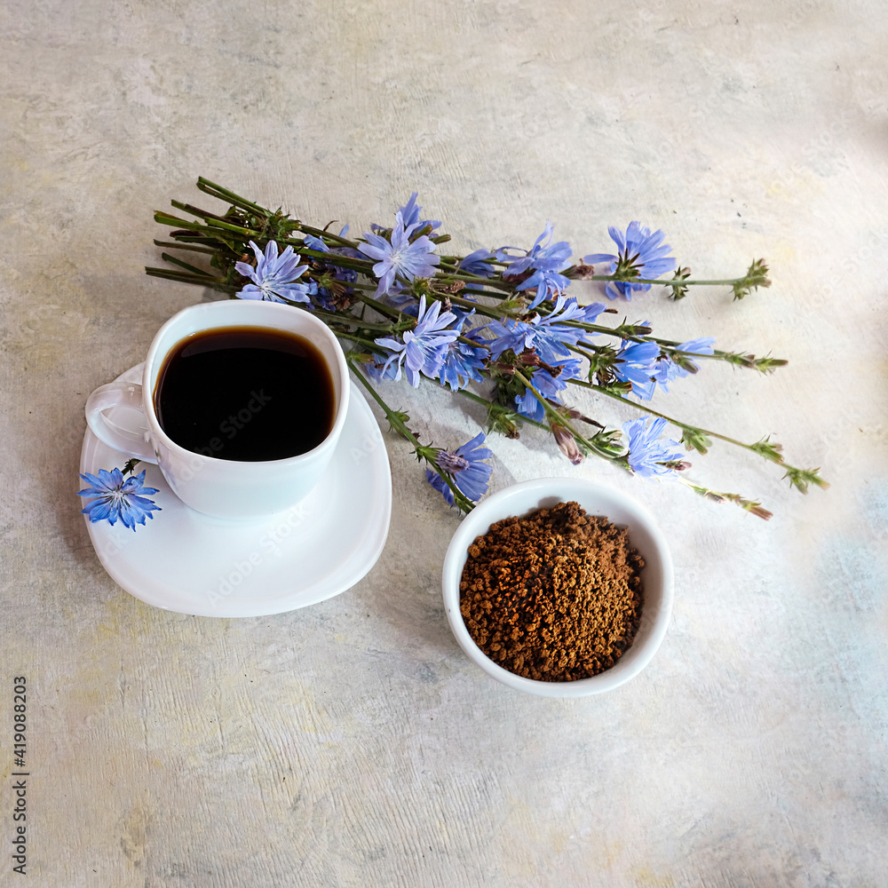 Medicinal plant chicory flowers and crushed roots. The roots of these