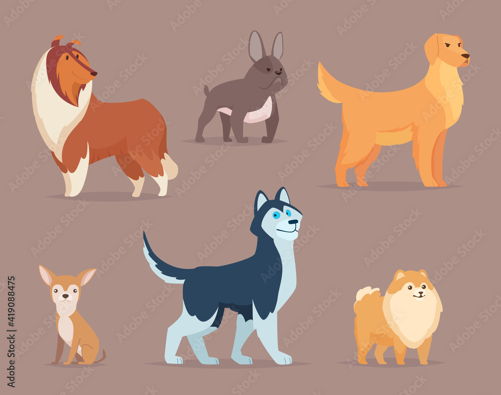 Dogs breeds. Domestic animals funny puppy sitting walking jumping terrier bulldog poodle dachshund exact vector cartoon illustrations of dogs characters. Adorable breed dogs, pedigree character