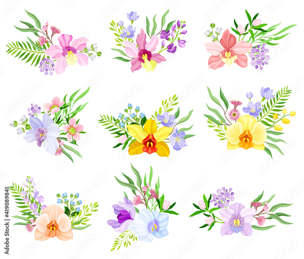 Fragrant Orchid Blooms with Labellum Arranged with Floral Branches Vector Set