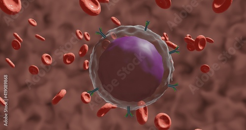 B lymphocyte with membrane receptors (antibodies or immunoglobulins) and showing a big and round nucleus in 3d illustration photo