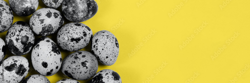 Obraz premium The easter background with the quail eggs in the trendy illuminating yellow and ultimate gray colors of the year, the banner.