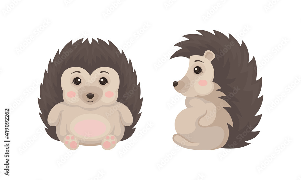 Fototapeta premium Prickly Hedgehog as Forest Animal in Different Poses Vector Set