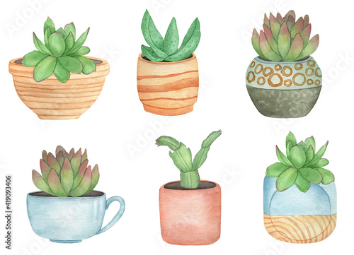 Watercolor succulents in boho pots, hand drawing illustration