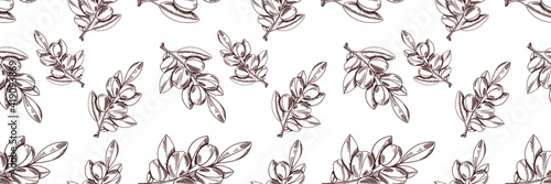 Vector Seamless Black and White Pattern: Argan Branch, Hand Drawn Outline Illustration.
