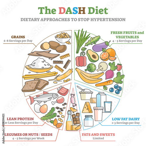 The DASH food diet as dietary approach to stop hypertension outline diagram