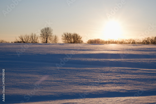 Winter sunset. Landscape, snow-covered field in the rays of sunset with frozen trees on the horizon in backlight.