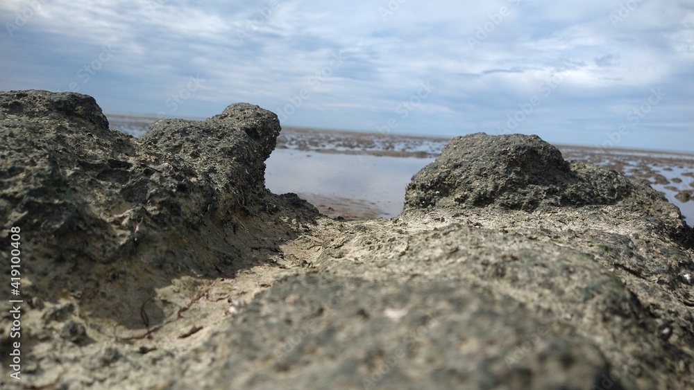 rocks on the beach