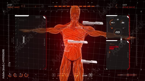 Analysis of Human Anatomy Scan on Futuristic Touch Screen Interface showing muscle work. Digital displays with an x-ray scan of muscle tissue, graph of analysis of the method of muscle contraction.