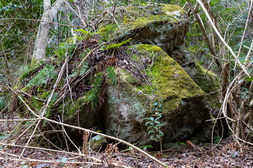 A large rock with moss. In the mountains © enasak