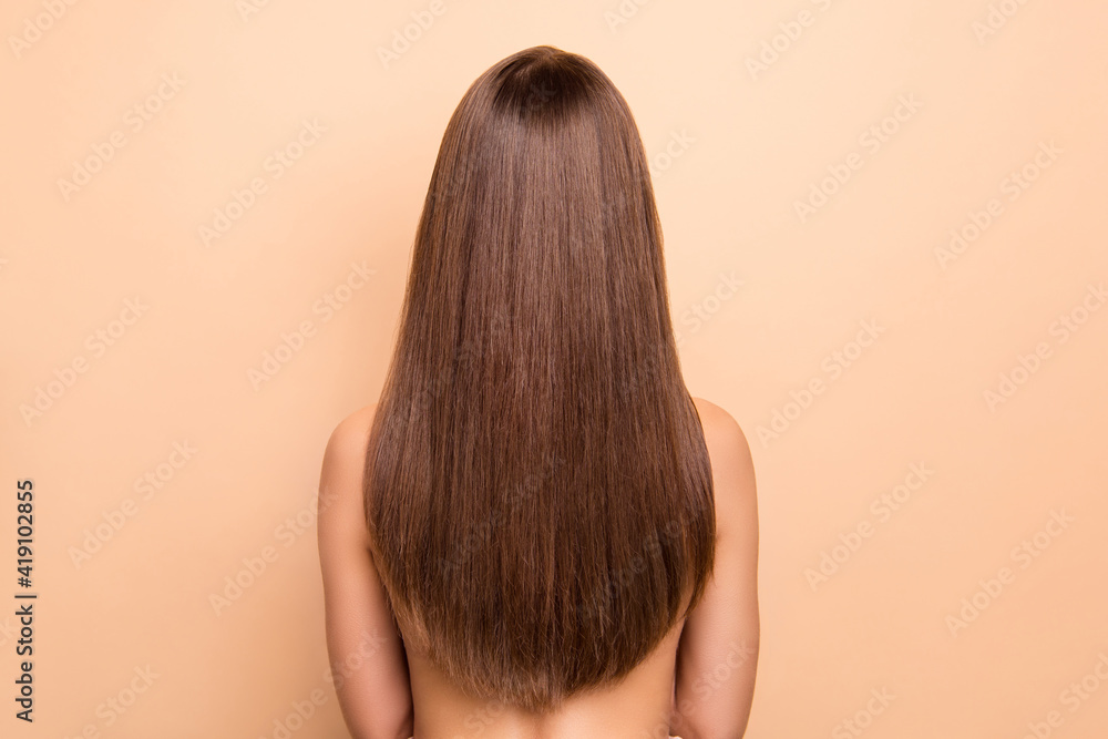 Rear behind profile portrait of nice long healthy hair lady no clothing isolated on beige color background - obrazy, fototapety, plakaty 