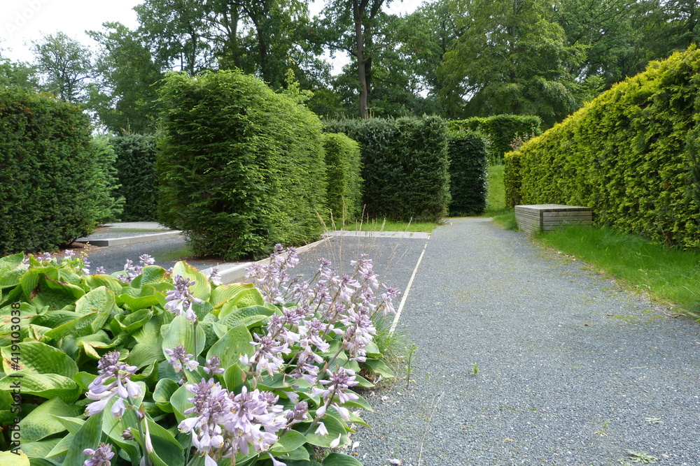 Heckengarten mit blauen Funkien Schlossgarten und Burggarten Schloss Schwerin