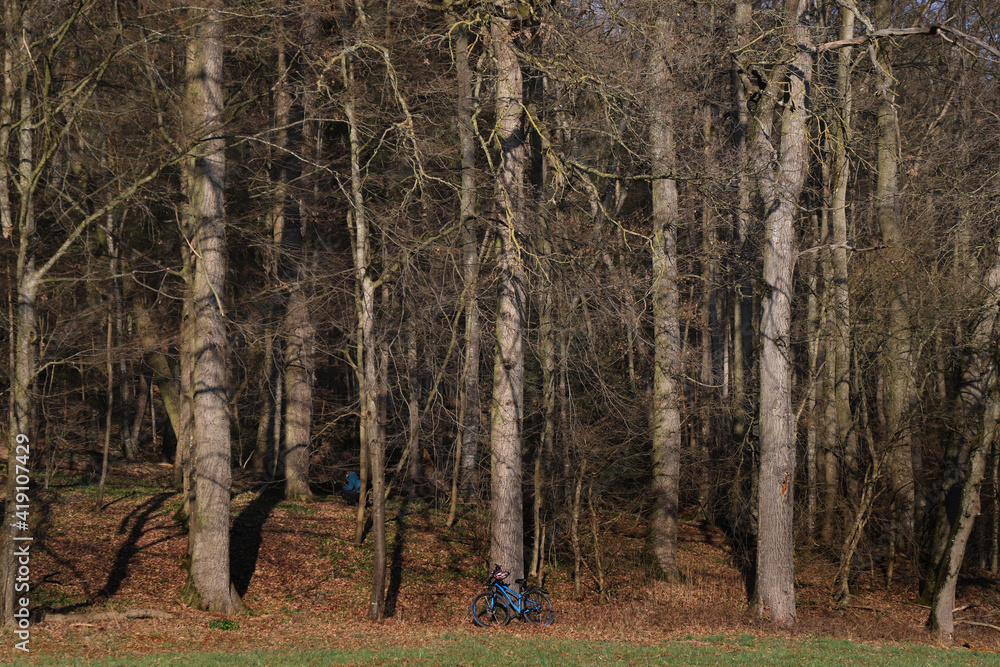 radfahrer macht eine pause an einem waldrand radfahrer macht eine pause an einem waldrand