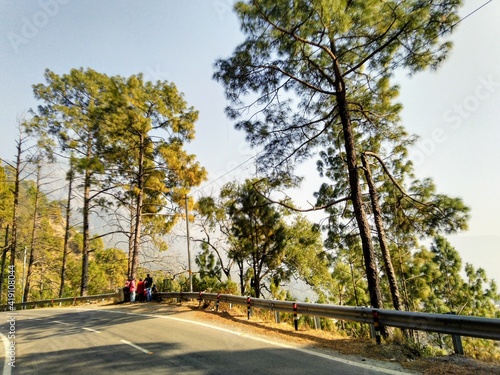 road in the mountain forest 