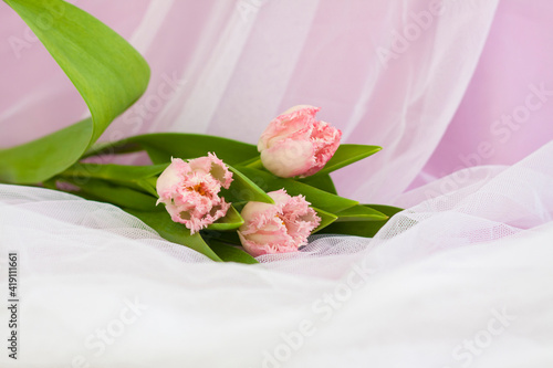 Delicate bouquet of pink tulips close-up on a pink background. Spring mood. Spring greeting card for Mother's Day or Women's Day, Valentine's Day.