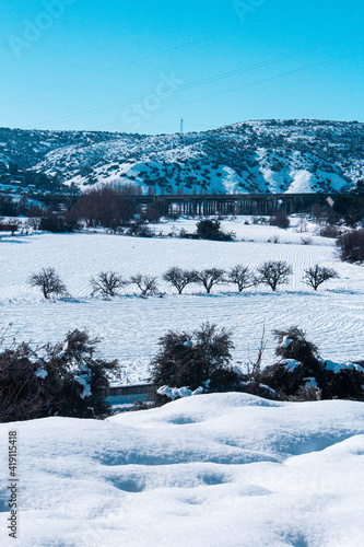 paisaje nevado con árboles en la llanura