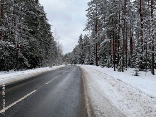 road in winter forest © ALEKSANDR