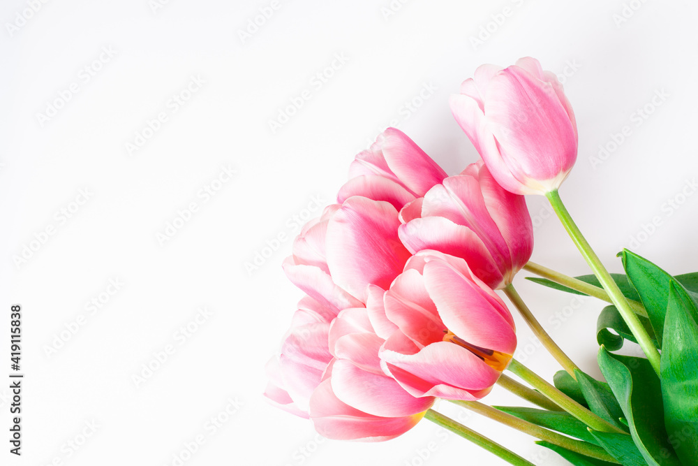 Obraz premium Spring flower pink tulips bouquet isolated on white