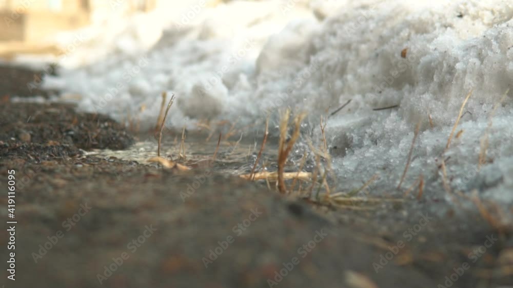 Drain melting water falling into puddle with old grass, near house end of winter. Asphalt foreground and snow background. Spring time town. Slow water drops motion close up panorama. Drain melting water falling into puddle with old grass, near house end of winter. Asphalt foreground and snow background. Spring time town. Slow water drops motion close up panorama.