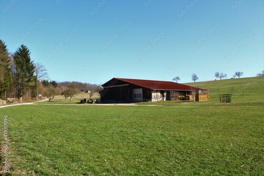 idilic farm on green grass and with trees idilic farm on green grass and with trees