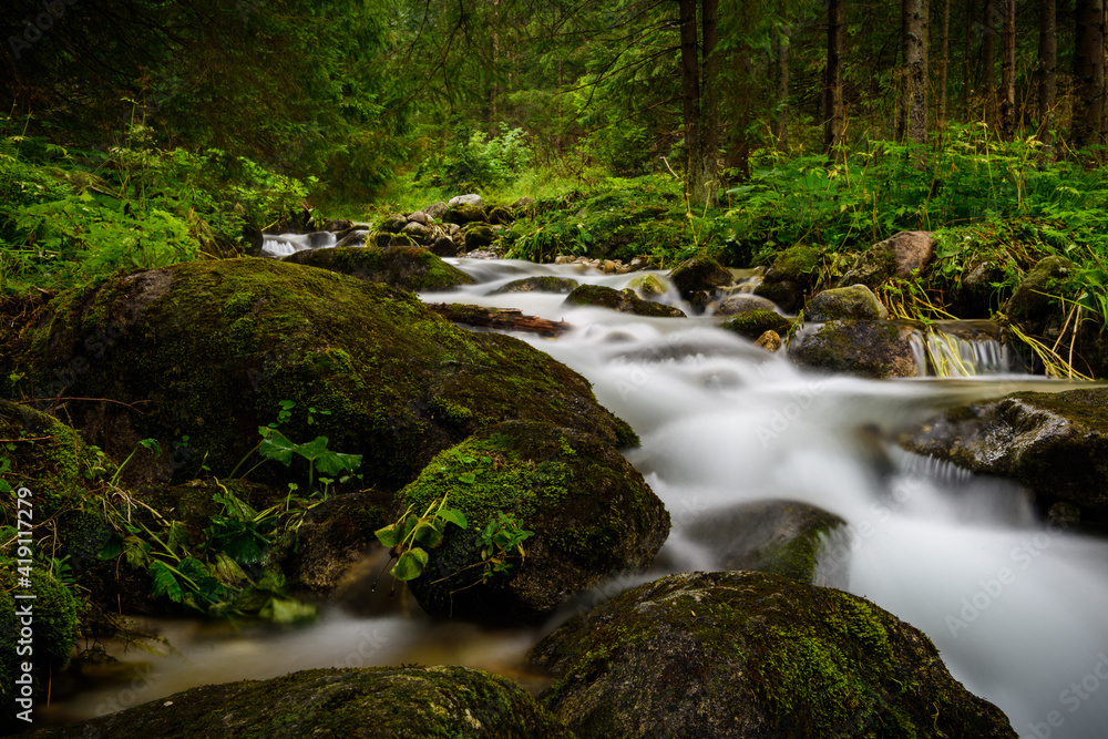 waterfall in the forest