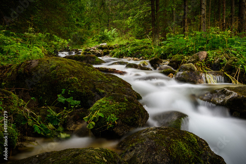 waterfall in the forest