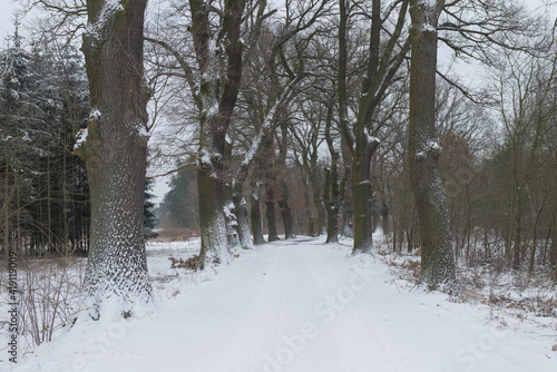 Wiejska droga zimą, pokryta grubą warstwą śniegu.