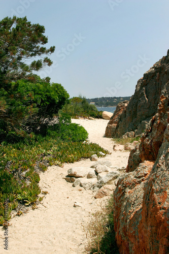 Chemin sur la plage - Corse du Sud © Aurore Geretto