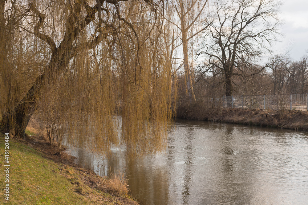Kanał rzeki Bóbr na terenie parku pałacowego w mieście Żagań. - obrazy, fototapety, plakaty 