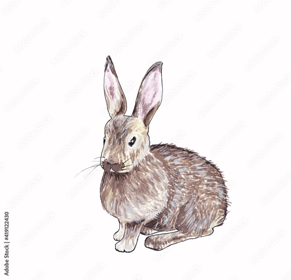Obraz premium Isolated illustration of a gray rabbit hand drawn in watercolor on a white background