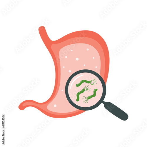 Helicobacter Pylori in the stomach. Stomach diseases. Bacterium with flagella that causes gastritis. Magnifying glass with bacteria under. Isolated vector illustration on white background