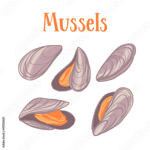 Seafood healthy nutrition product. Mussels in shells.
