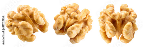 Walnut half isolate. Peeled walnut on white. Walnut nut top view. Set with clipping path. Full depth of field. photo