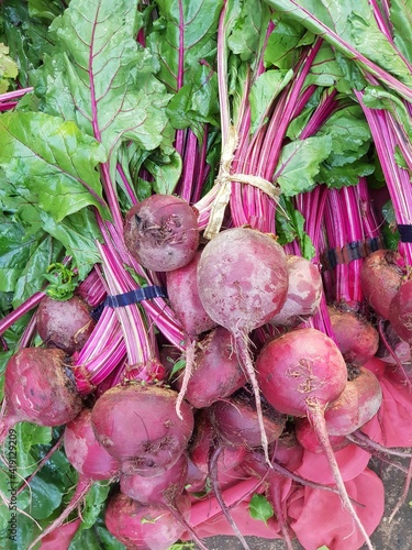 Radish Bundle in the vegetable market
