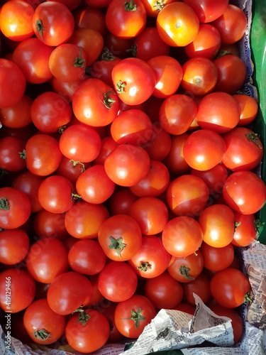 Fresh Red Tomatoes in the basket (Solanum Lycopersicum)