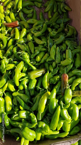 capsicum in vegetable market