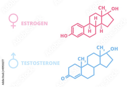 Sex hormones. Laboratory symbol, hormone estrogen testosterone chemical structure. Man girl health, information molecule utter vector signs. Illustration hormone estrogen and testosterone chart