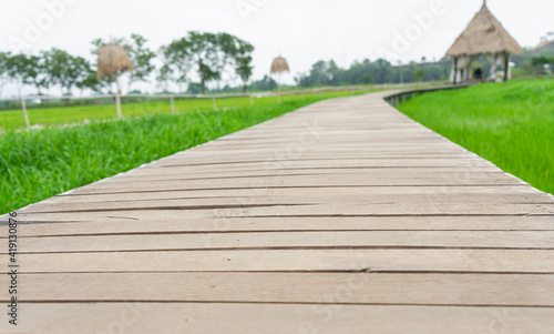 A wooden bridge in a rice field