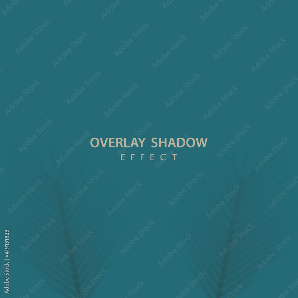 Shadow overlay effect on turquoise background. Leaves of date palm. Transparent soft light and shadows from branches. Shadow overlay effect on turquoise background. Leaves of date palm. Transparent soft light and shadows from branches.