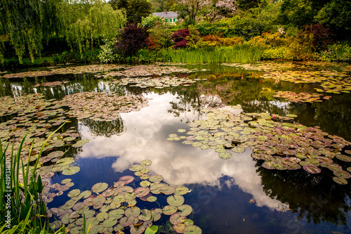 фотографія Pond, trees, and waterlilies in a french garden