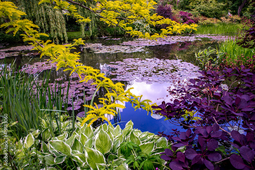 Pond, trees, and waterlilies in a french garden photo