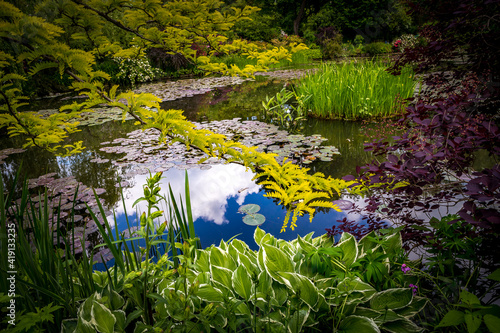 Fototapeta Naklejka Na Ścianę i Meble -  Pond, trees, and waterlilies in a french garden