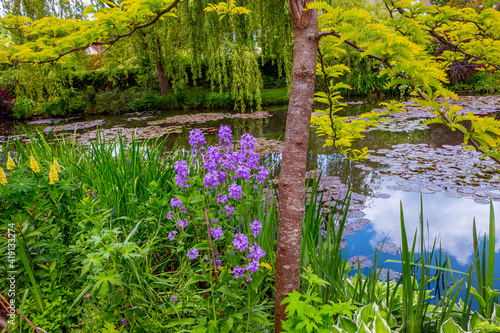 Fényképezés Pond, trees, and waterlilies in a french garden