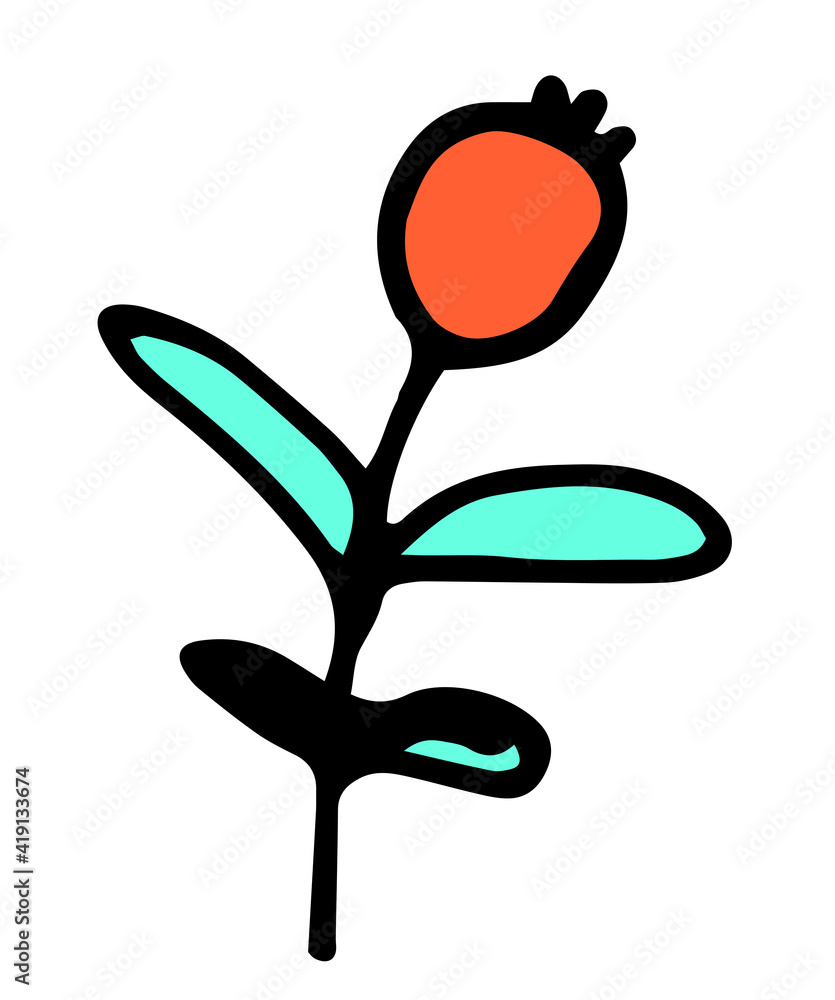 Vector isolated twig with a round red berry and turquoise leaves on a white background hand drawn in doodle style with a black line for the design template Vector isolated twig with a round red berry and turquoise leaves on a white background hand drawn in doodle style with a black line for the design template