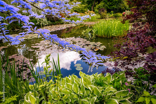 Obraz na plátně Pond, trees, and waterlilies in a french garden