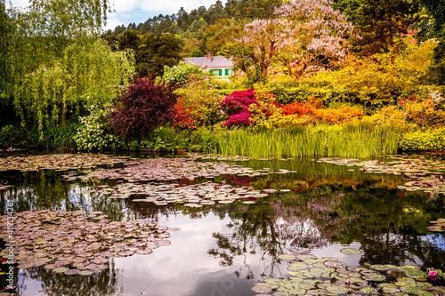 Fototapeta Pond, trees, and waterlilies in a french garden