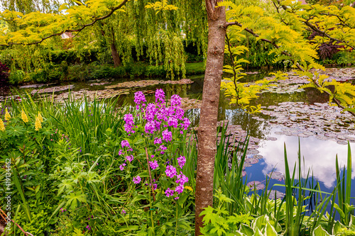 Photo Pond, trees, and waterlilies in a french garden