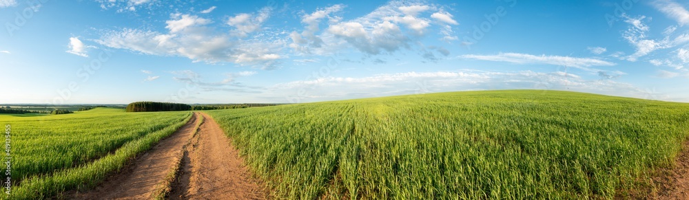 Panorama of a green field and sky. Sunny summer landscape of a European village Panorama of a green field and sky. Sunny summer landscape of a European village